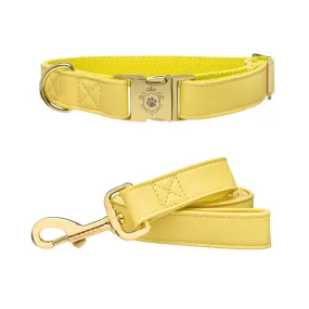 Honey Collar & Leash Set